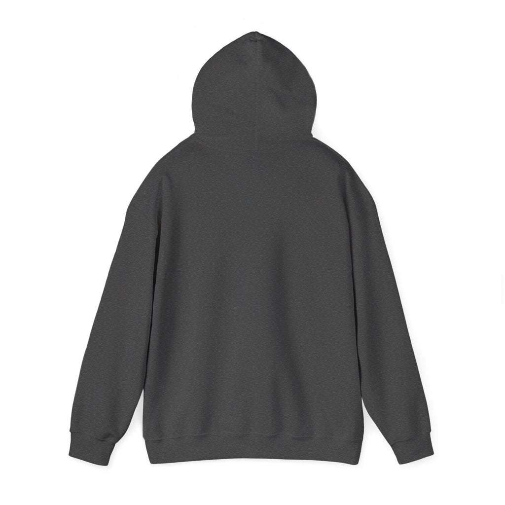 Heavy Local Apparel Hoodie – Distressed Streetwear Pullover
